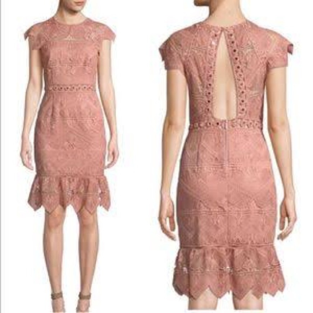 Joah Scalloped Lace Dress